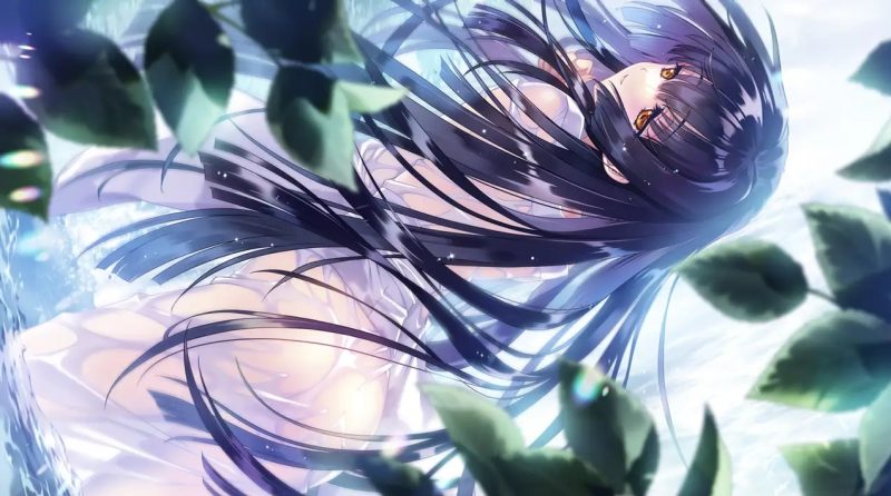 图片[6]-无颜之月 汉化硬盘版+动画 [新作/2.9G]-acg游戏网