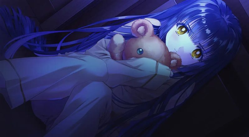 图片[3]-无颜之月 汉化硬盘版+动画 [新作/2.9G]-acg游戏网