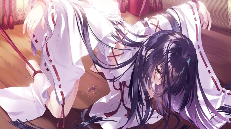 图片[2]-无颜之月 汉化硬盘版+动画 [新作/2.9G]-acg游戏网