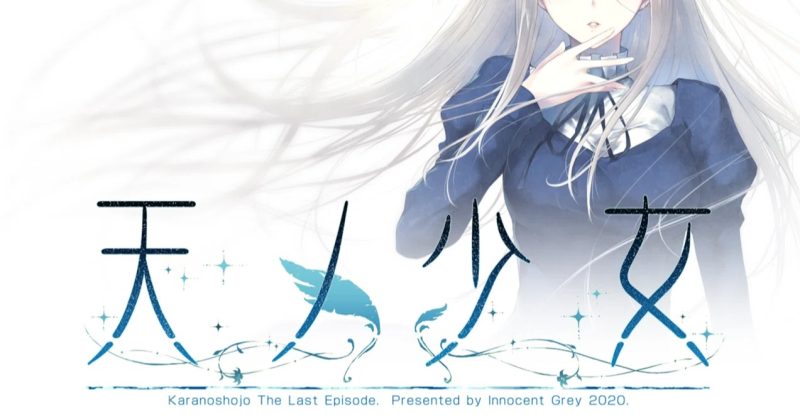 图片[13]-天之少女 官方中文版+全CG存档 [新作/4G]-acg游戏网