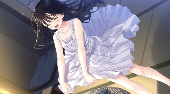图片[5]-痴情哥哥与病弱妹妹的乡间生活 STEAM官方中文版+DLC1+2+3+4+全CG存档 [更新] [4.3G]-acg游戏网