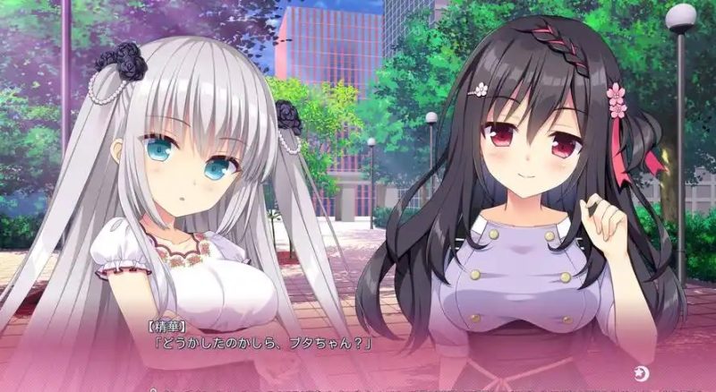 图片[11]-恋爱成双 STEAM官中[新作/3.6G]-acg游戏网