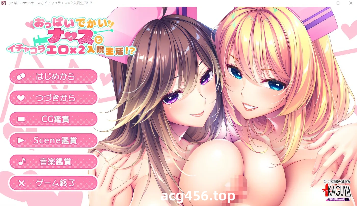 t9025与大胸护士一起度过火辣又撩人的医院时光！ AI汉化版[3.8G]-ACG游戏网