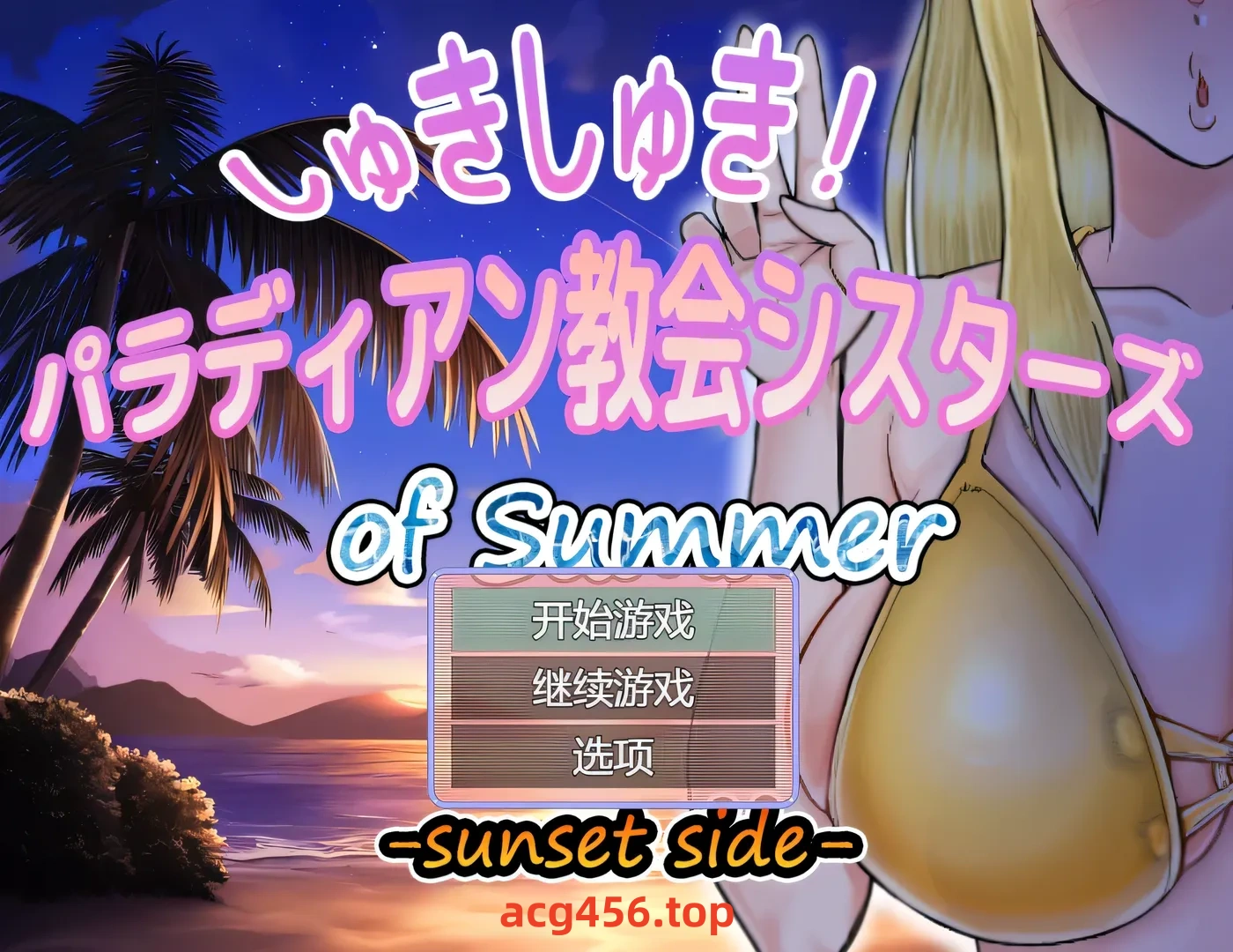 x2596 超喜欢！帕拉迪安教会的修女们 挂载AI汉化版+存档 [新作/530M]-ACG游戏网