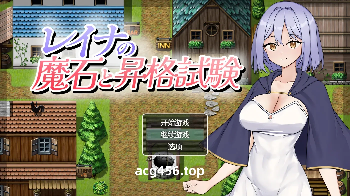 x2551蕾娜的魔石与晋升试炼 挂载AI汉化版+存档 [新作/300M]-ACG游戏网