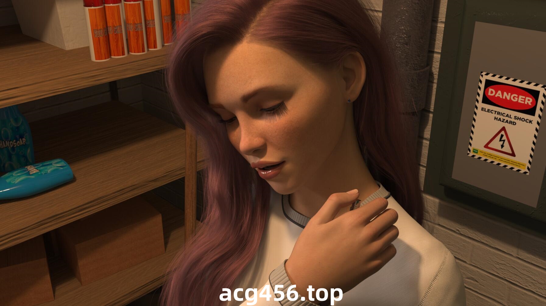 x2388 吸血鬼学院/The Vampire Academy 官方中文[新作/440M]-ACG游戏网