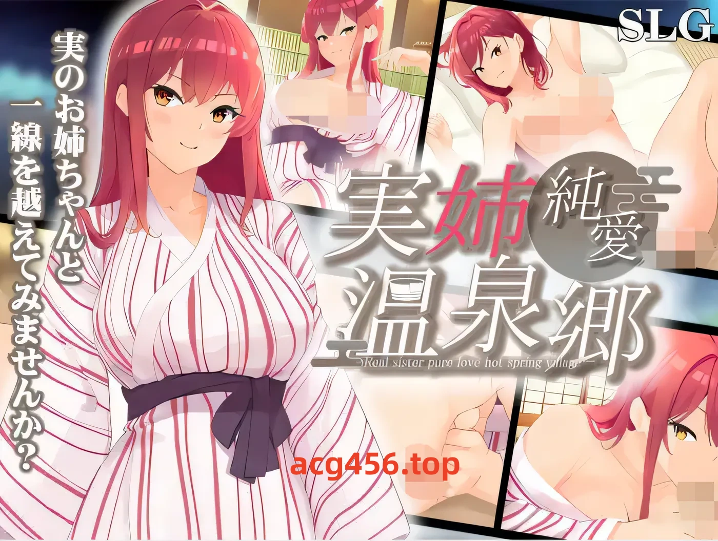 x2012 実姉純愛温泉郷 AI汉化版 [新作/700M]-ACG游戏网