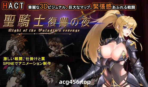 t6003 圣骑士复仇之夜 官方中文版 [新作/1.3G]-ACG游戏网