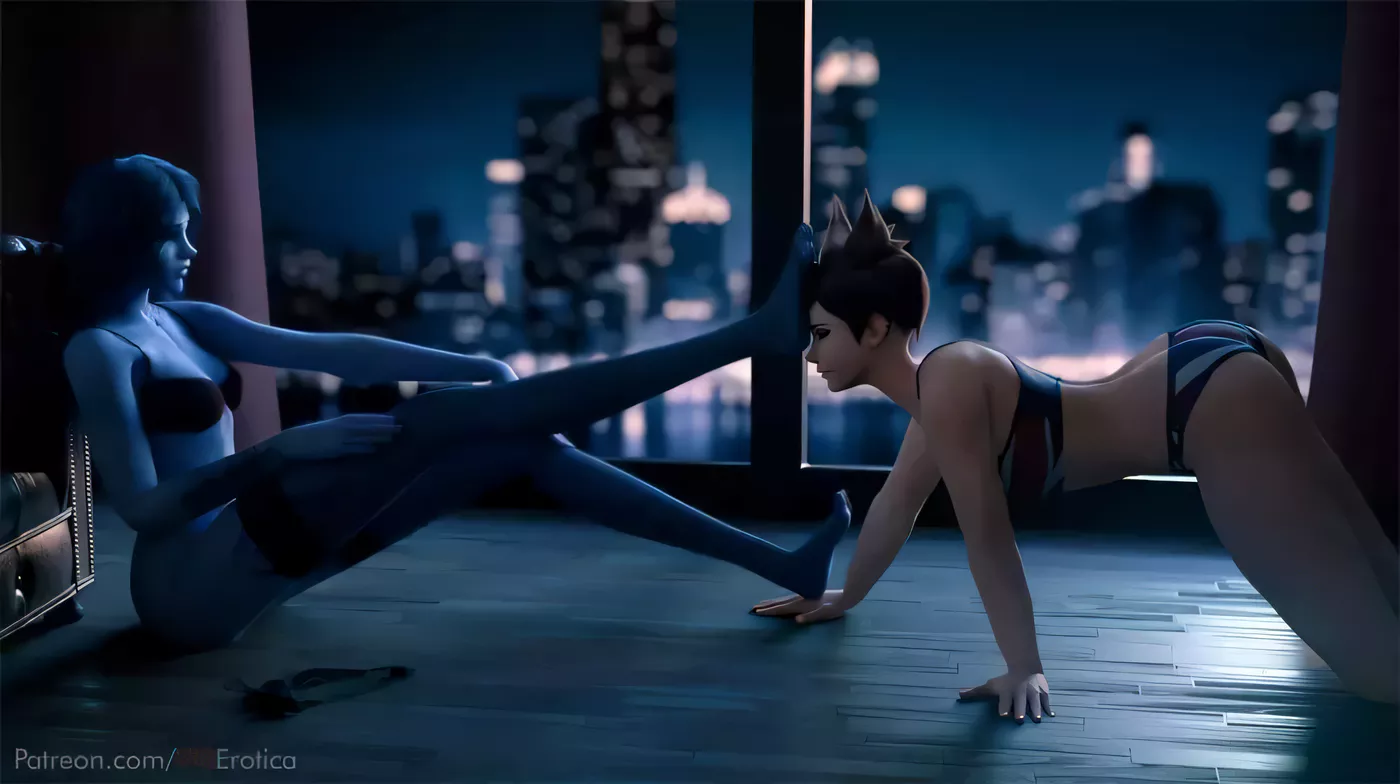 【3D同人/全动态】VGErotica大师  究极品质3D同人超级整合版+CG版【顶级屁股/4G】-ACG游戏网