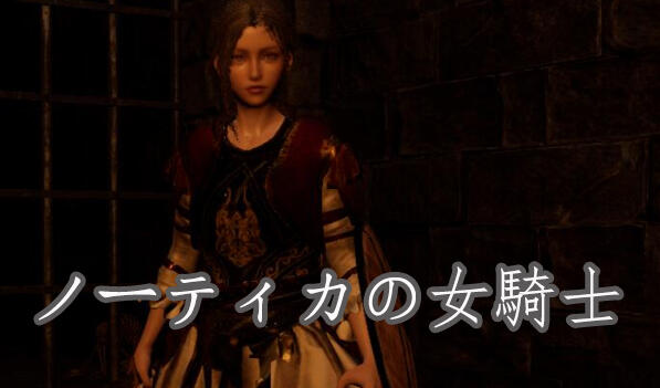 t2171 诺蒂卡的女骑士 官方中文[新作/1.3G]-ACG游戏网