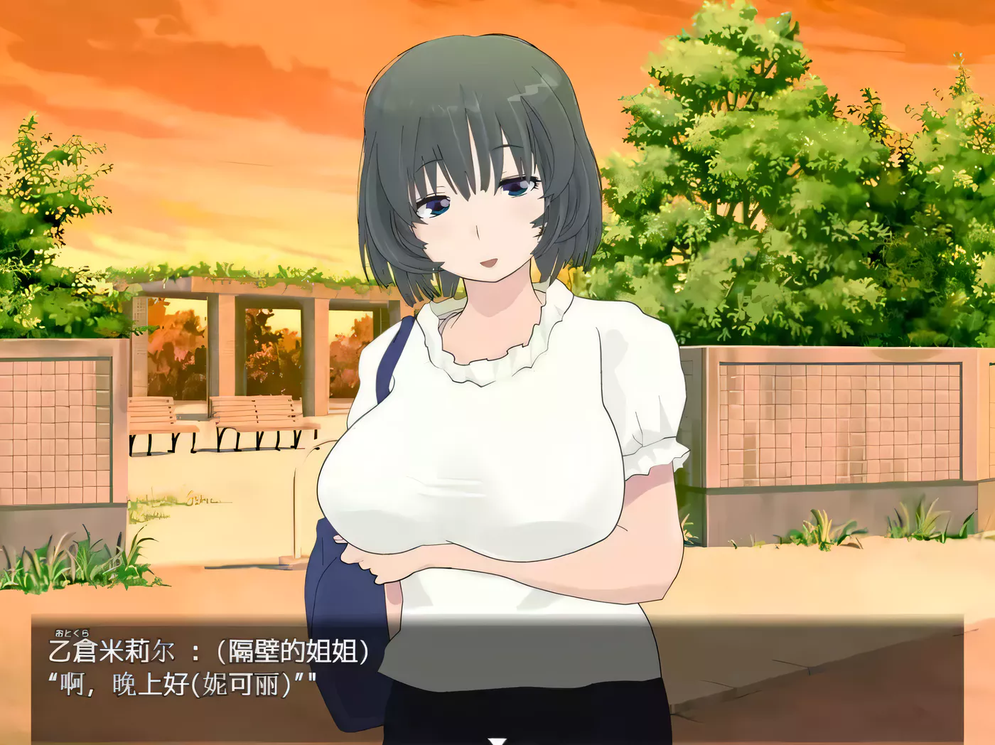 【高自由度RPG/汉化/全动态】寝取小镇的超H传阅板！开门即H！汉化作弊版【900M/全CV】-ACG游戏网