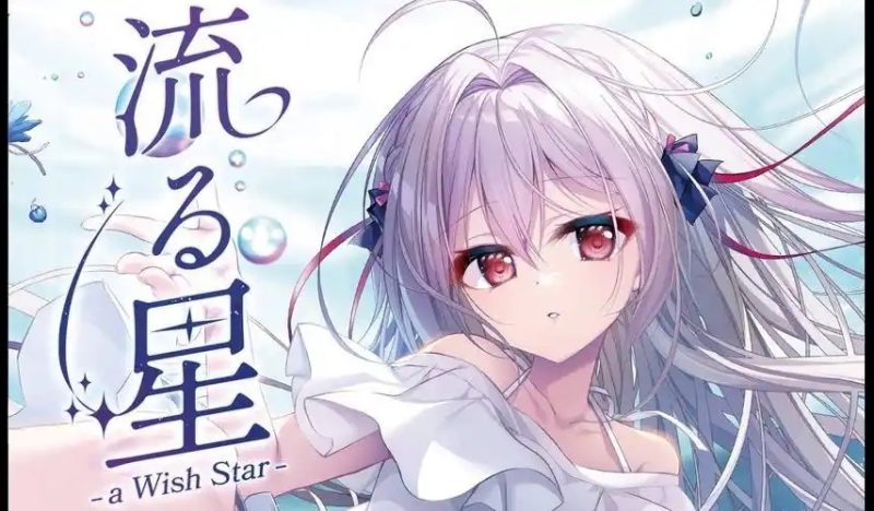流星 a wish star Steam 官方中文-acg游戏网