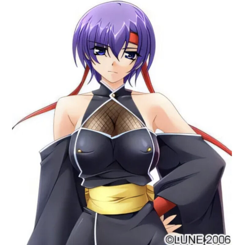 图片[3]-[中文] G1947 女忍者・咲夜 AI汉化版[1G]-ACG游戏网