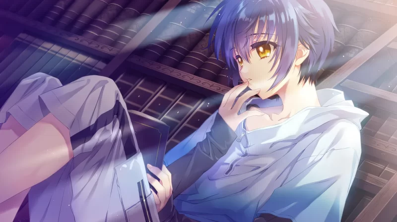 [中文] G1859 无颜之月-待宵双椿- AI汉化版[更新/1.7G]-ACG游戏网