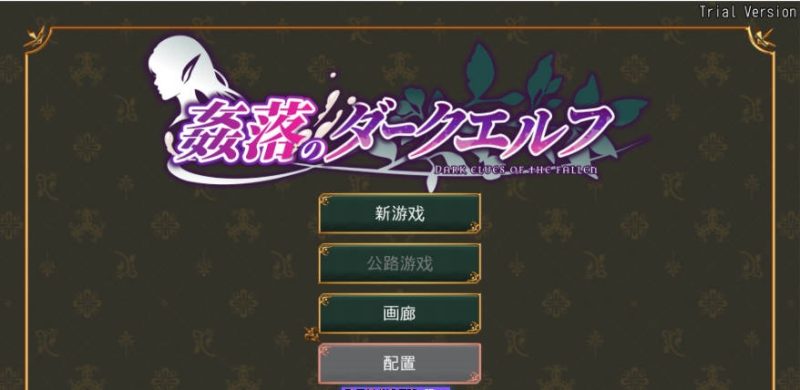 奸落的黑暗精灵 姦落のダークエルフ 官方中文体验版[3.4G]-acg游戏网
