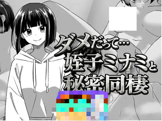 不行啦…和侄女美波的秘密同居 内嵌AI汉化版 [新作] [340M]-acg游戏网