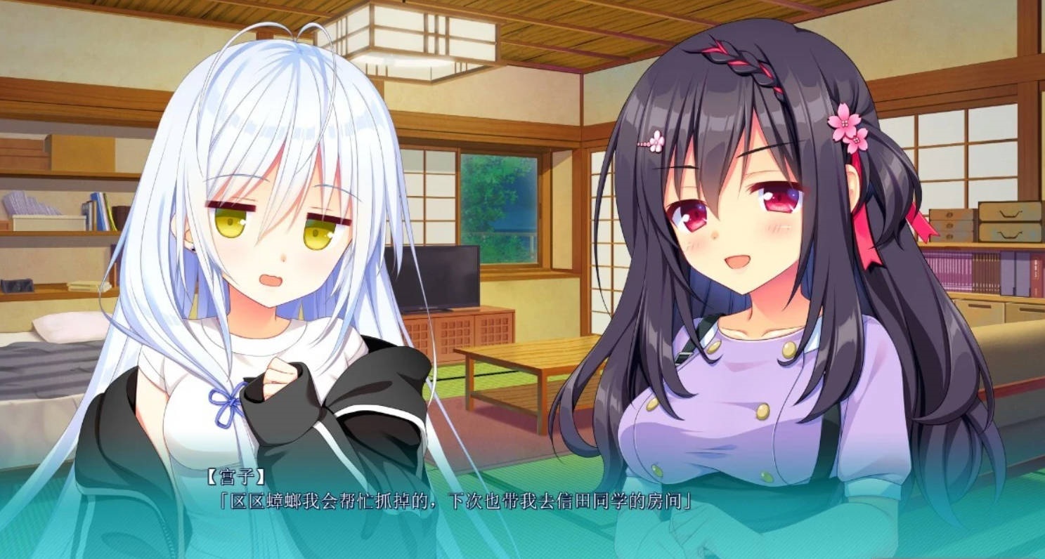 图片[5]-PC/2D/GAL/汉化】恋爱成双FD2 結愛＆煌 精翻汉化版【1.4G】-acg游戏网