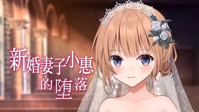 新婚妻子小惠的堕落 完整版 官方中文【PC/2G/新作】-acg游戏网