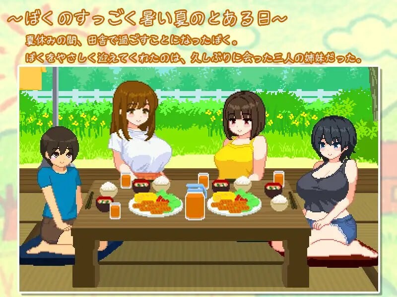与夏日姐姐们的甜蜜时光 v1.0.2 Steam官中步兵版 【PC/350M/新作】-acg游戏网