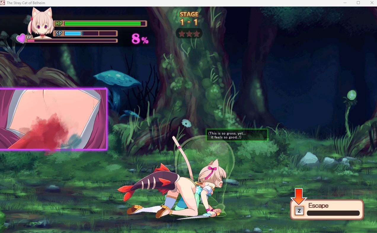 图片[2]-贝尔海姆的迷途猫 V1.02 ベルヘイムの迷い猫 生肉【PC/510M/更新】-acg游戏网