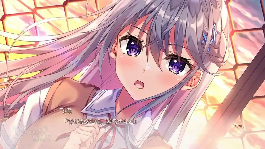 飞鸟会长不肯认输！精翻汉化版【PC/2G/更新】-acg游戏网