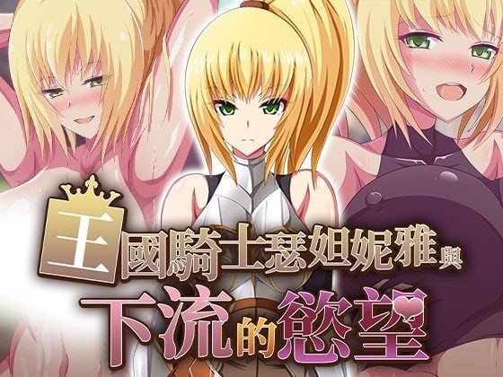 王国骑士瑟妲妮雅与下流的欲望 072官中步兵版【PC/460M/新作】-acg游戏网