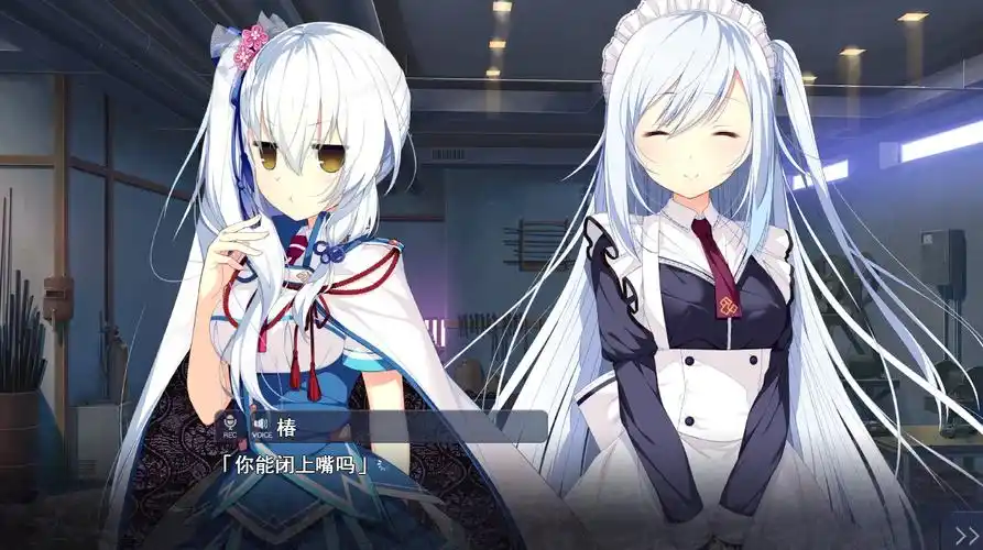 图片[4]-共结情缘的剑舞恋曲 1+2+SS*2合集 精翻汉化【PC/5.1G/更新】-acg游戏网